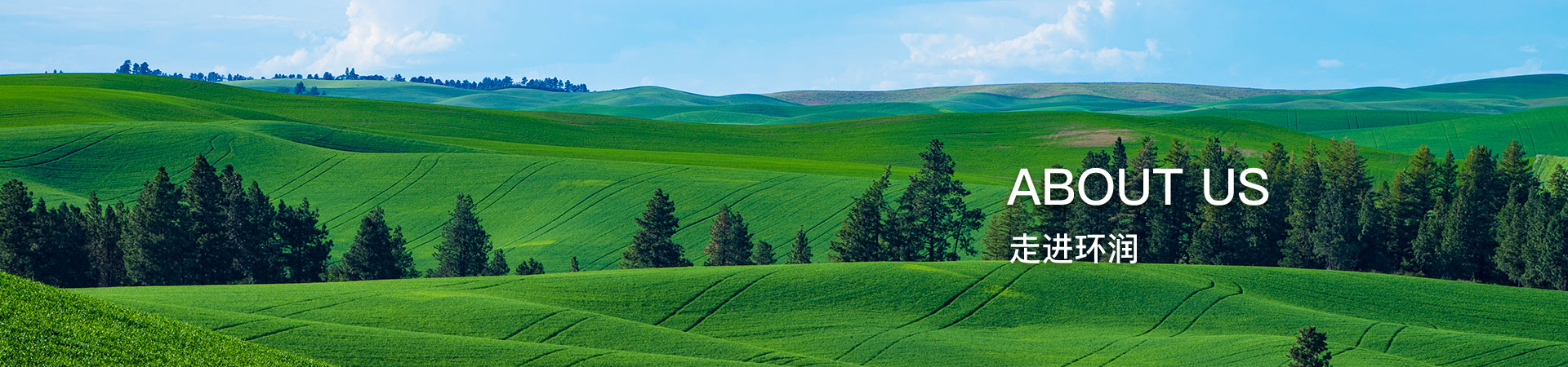 走进环润