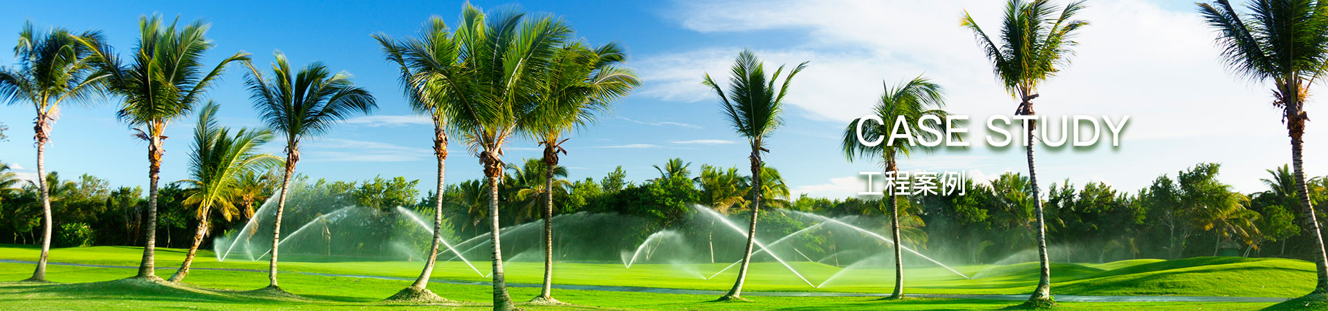 环润灌溉案例