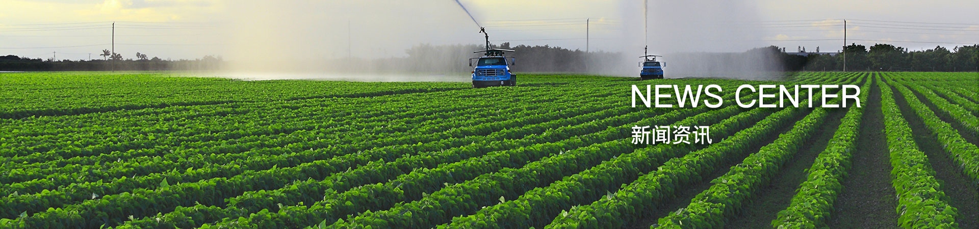 环润灌溉新闻